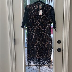 Black and Nude Lace Midi Dress 3/4 length sleeves